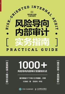風險導向內部審計實務指南