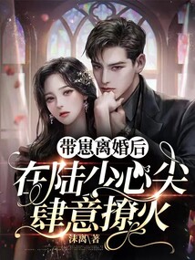帶崽離婚后,在陸少心尖肆意撩火