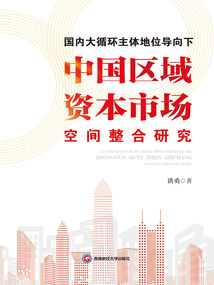 國內(nèi)大循環(huán)主體地位導(dǎo)向下中國區(qū)域資本市場空間整合研究