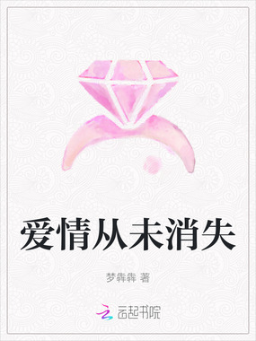 爱情从未消失在线阅读