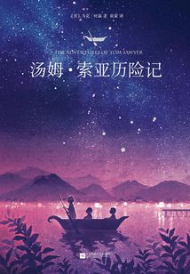 汤姆·索亚历险记