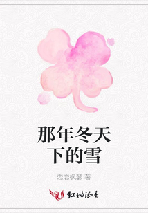 那年冬天下的雪