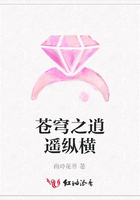 蒼穹之逍遙縱橫在線閱讀