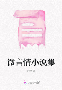 微言情小說集