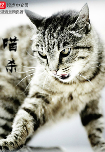 喵杀