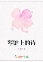 琴鍵上的詩在線閱讀