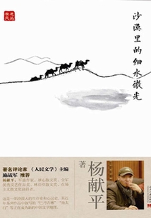沙漠里的细水微光