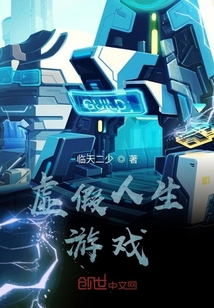 虚假人生游戏