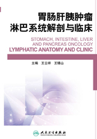 胃肠肝胰肿瘤淋巴系统解剖与临床