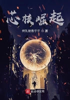 芯核崛起在線閱讀