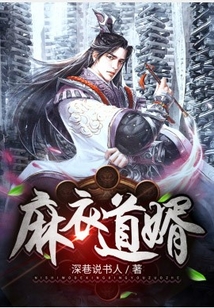 麻衣道婿
