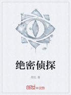绝密侦探在线阅读