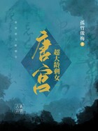 唐宮超大齡剩女在線閱讀