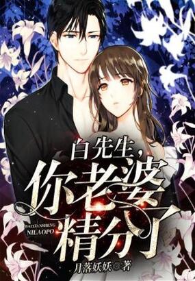 白先生,你老婆精分了在线阅读