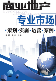 商业地产:专业市场:策划·实施·运营·案例