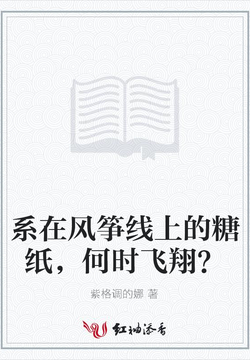 系在风筝线上的糖纸，何时飞翔？ 封面