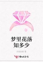 夢里花落知多少在線閱讀