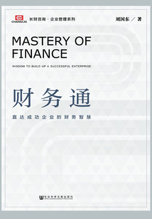 財務通：直達成功企業的財務智慧（長財咨詢·企業管理系列）