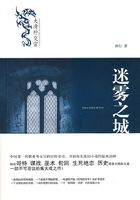 迷霧之城在線閱讀