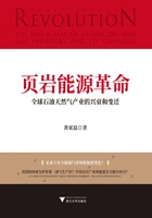 页岩能源革命：全球石油天然气产业的兴衰和变迁在线阅读