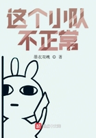 这个小队不正常在线阅读