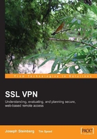 SSL VPN : Understanding, evaluating and planning secure, web/based remote access