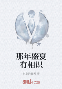 那年盛夏有相識