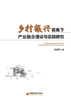 乡村振兴视角下产业融合的理论与实践研究在线阅读