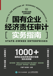 國有企業經濟責任審計實務指南