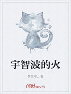 宇智波的火在线阅读
