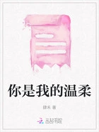 你是我的温柔在线阅读