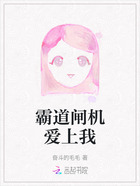 霸道闸机爱上我在线阅读