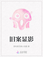 旧案显影在线阅读