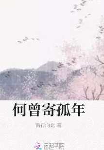 何曾寄孤年