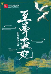 至尊盜妃