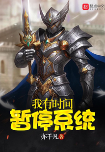 我有時間暫停系統