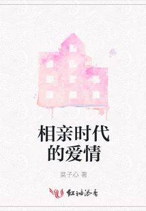 相親時代的愛情