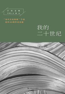 我的二十世紀(寧肯文集)