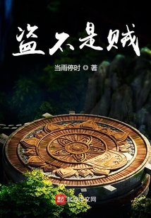 盜不是賊