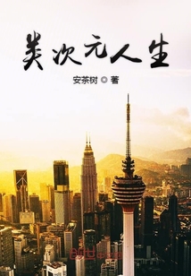 类次元人生