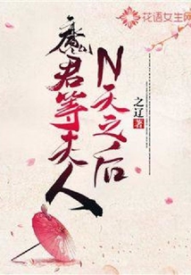 魔君等夫人N天之后