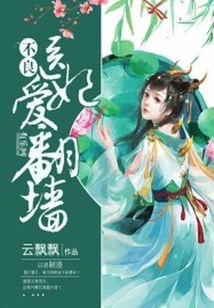 不良醫(yī)妃愛翻墻