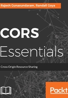 CORS Essentials在线阅读