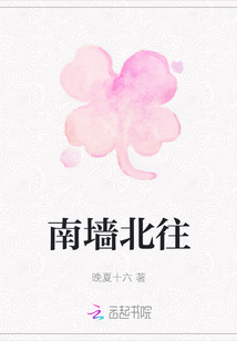 南墻北往