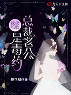 夜夜笙歌，总裁老公是毒药在线阅读