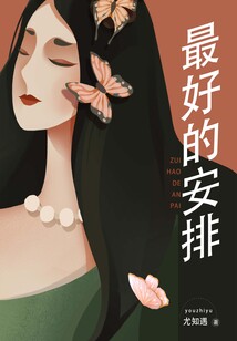 最好的安排