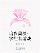 暗夜蔷薇：掌控者游戏在线阅读