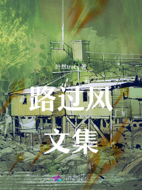 路过风文集在线阅读