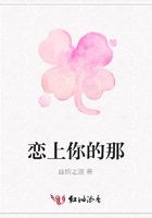 戀上你的那在線閱讀