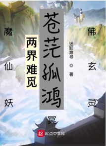 蒼茫孤鴻